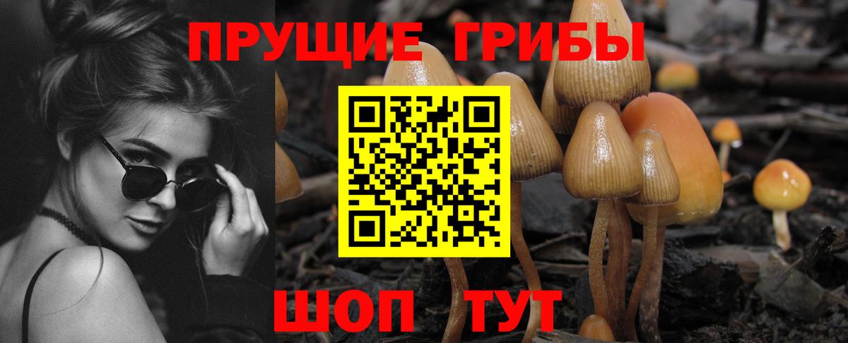 Галлюциногенные грибы Psilocybe  Галлюциногенные грибы прущие грибы  Подольск  Вход с VPN 